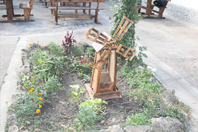 Image Description