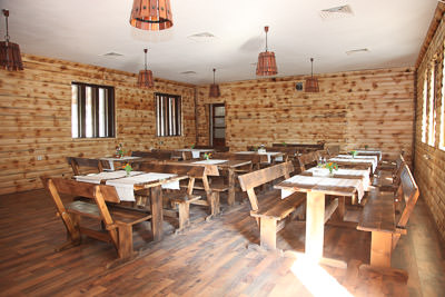 example-image