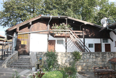 example-image
